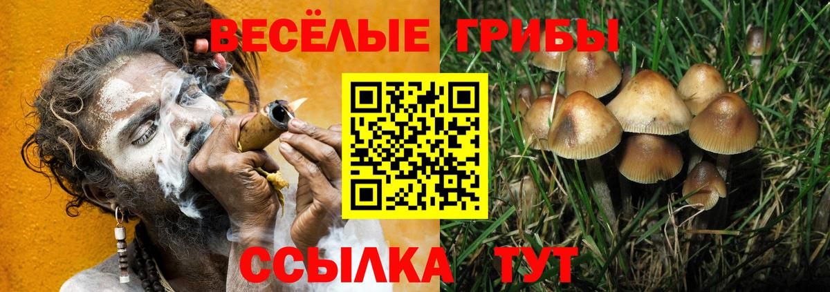 Псилоцибиновые грибы MAGIC MUSHROOMS Славгород