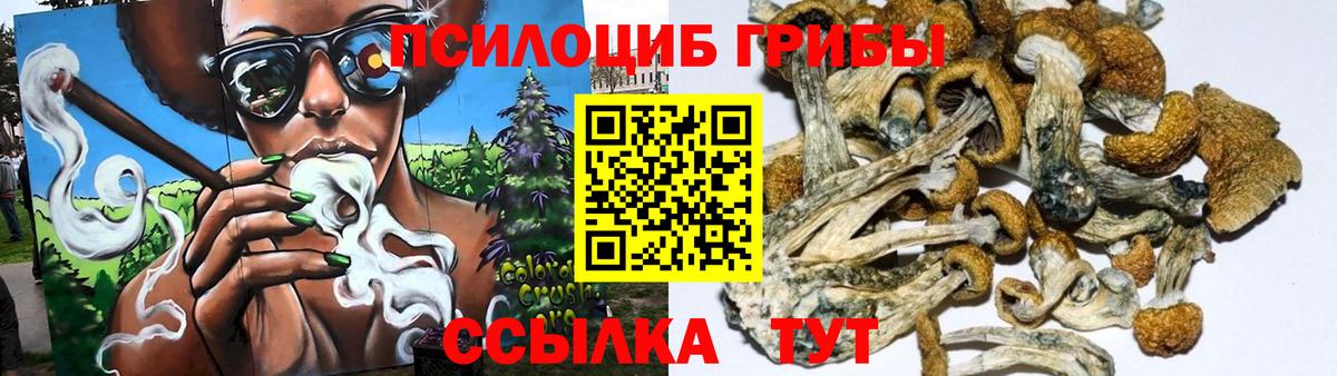 Славгород  Галлюциногенные грибы мухоморы  Вход с VPN  Галлюциногенные грибы GOLDEN TEACHER 
